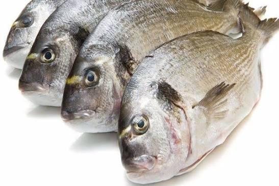 Sea Bream