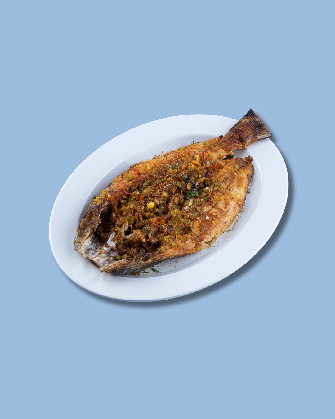 Sea Bass