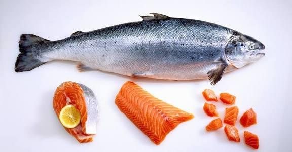 Salmon