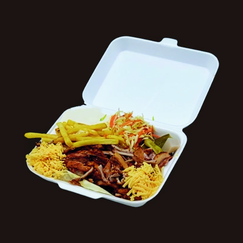 Shawarma Plate (Slices)